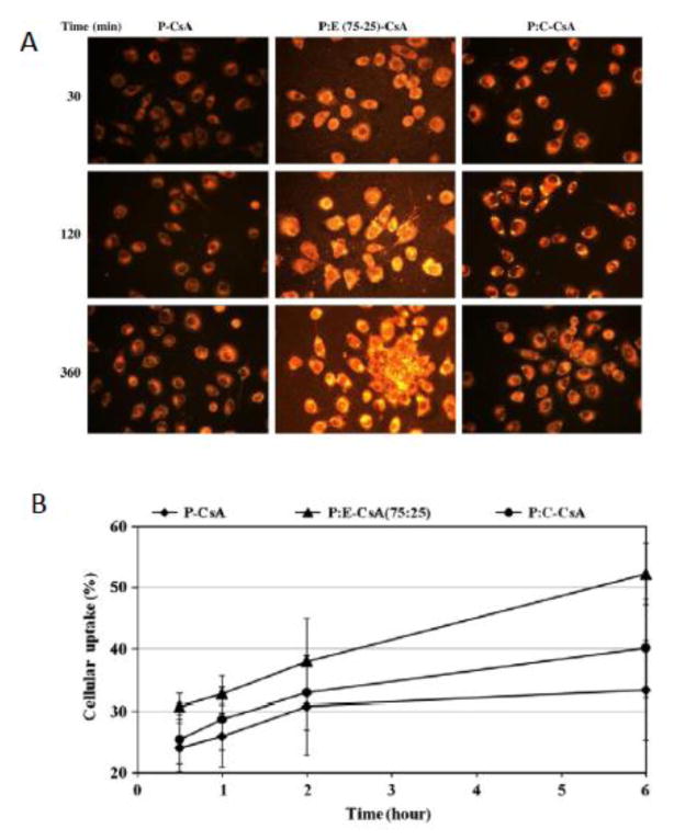 Fig. 13