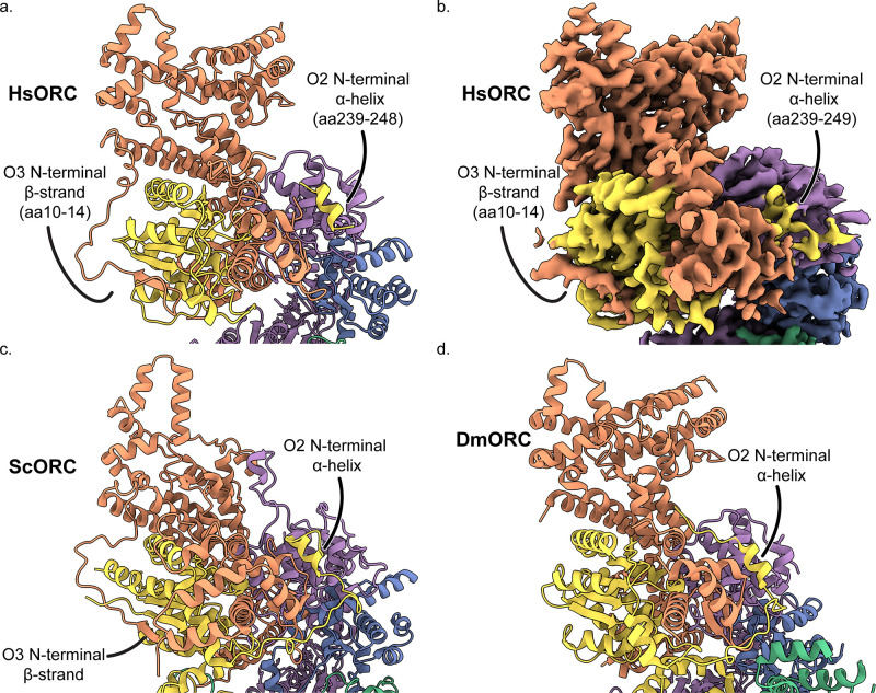 Figure 1—figure supplement 8.