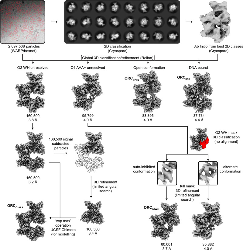 Figure 1—figure supplement 2.