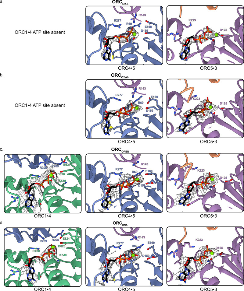 Figure 1—figure supplement 1.