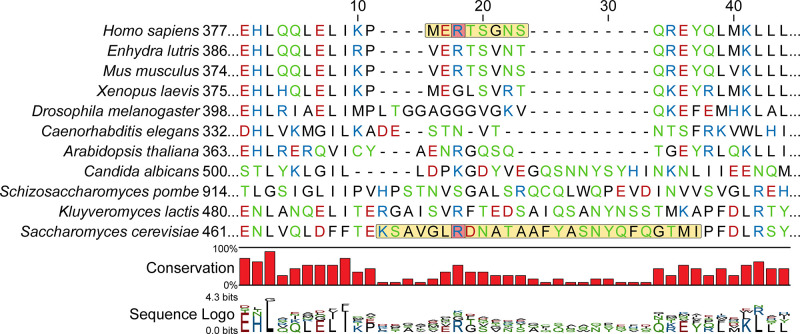 Figure 4—figure supplement 5.