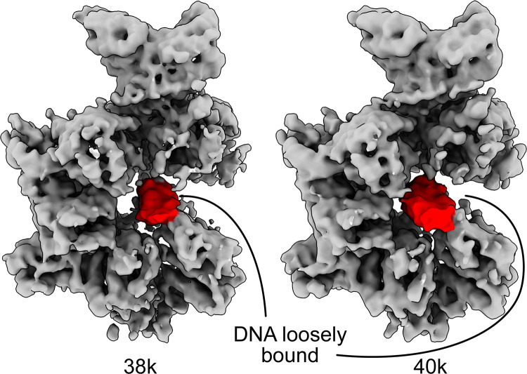 Figure 4—figure supplement 3.