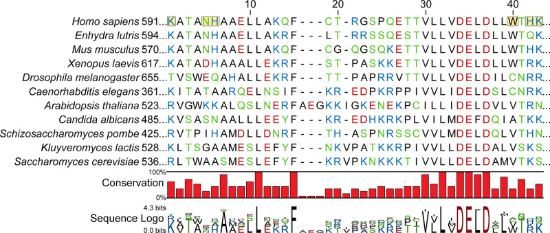 Figure 4—figure supplement 4.