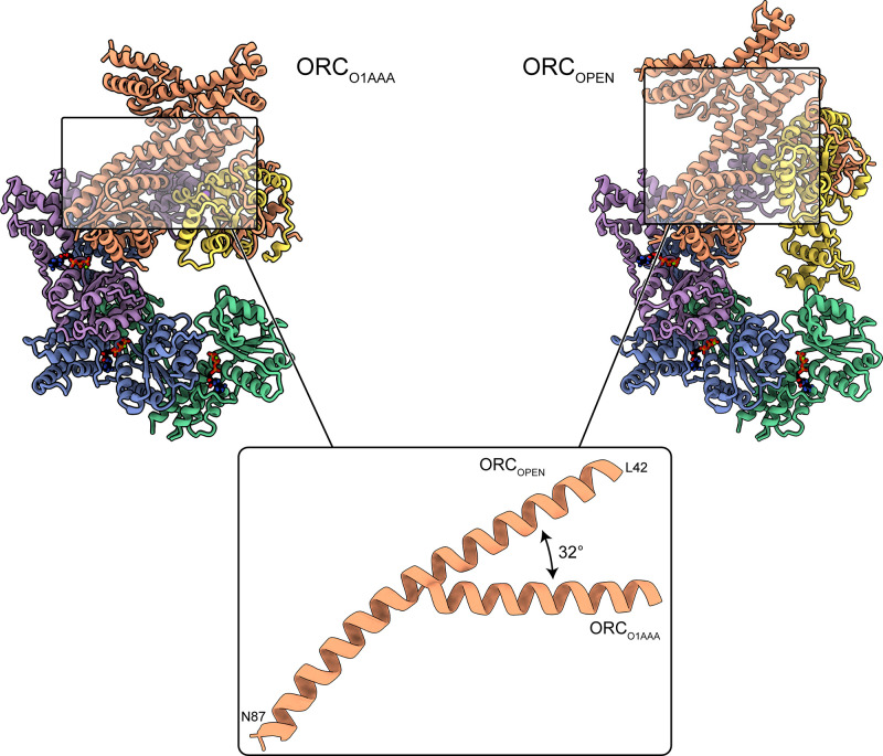 Figure 3—figure supplement 2.