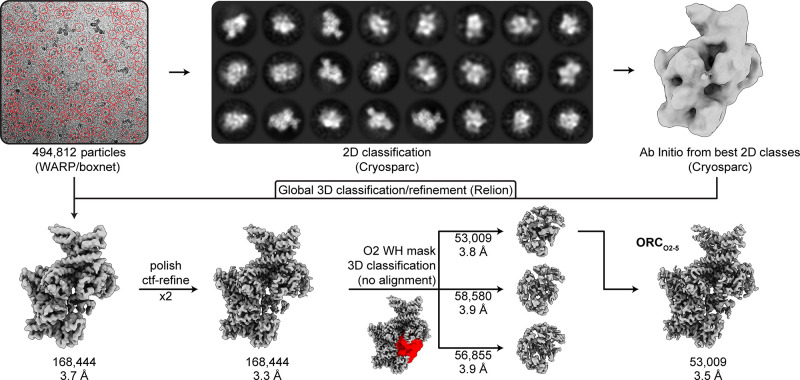 Figure 1—figure supplement 3.