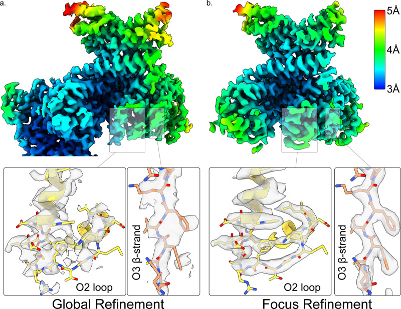 Figure 1—figure supplement 7.