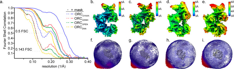 Figure 1—figure supplement 4.