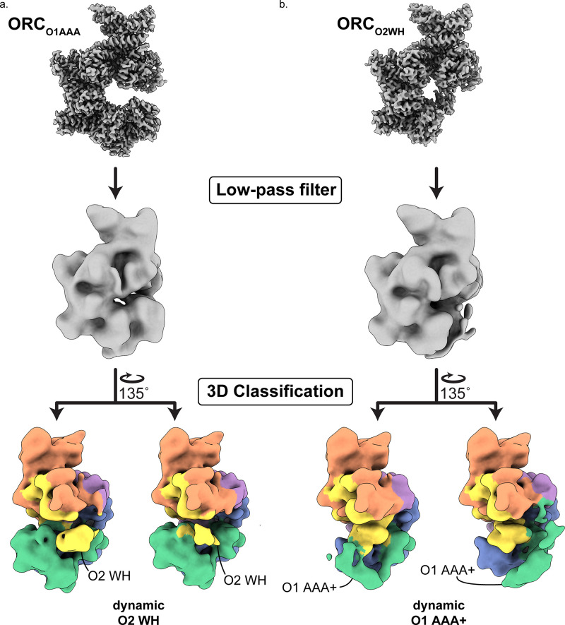 Figure 2—figure supplement 1.