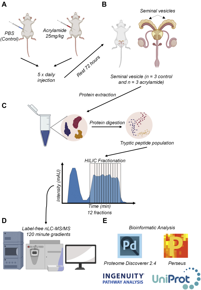 Fig. 1