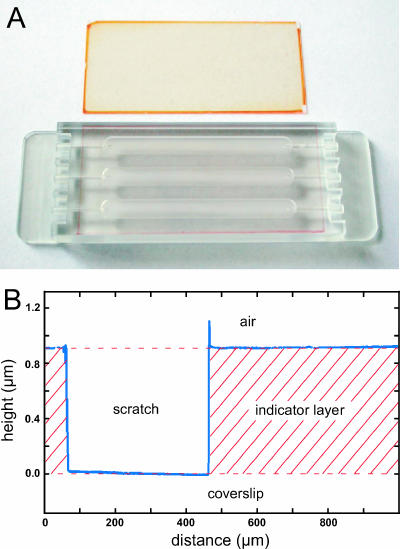 FIG. 1.