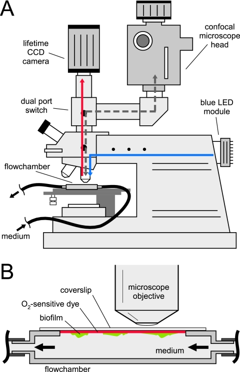 FIG. 2.