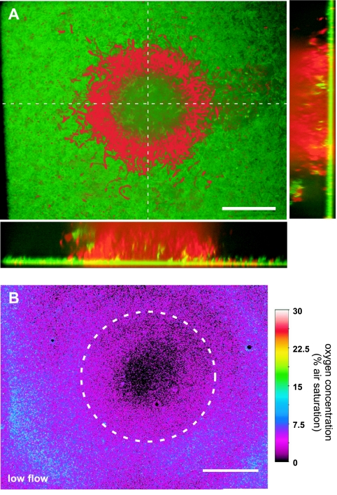 FIG. 4.