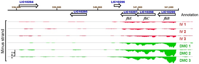 Figure 5