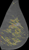 Figure 2a: