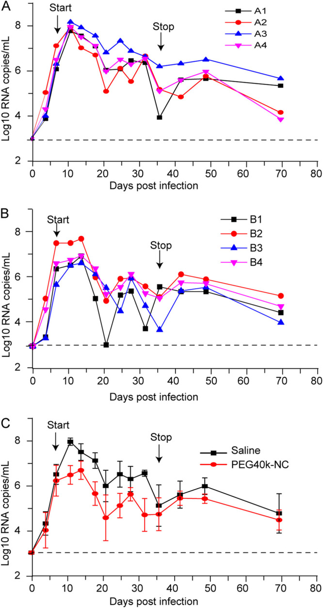 FIG 6