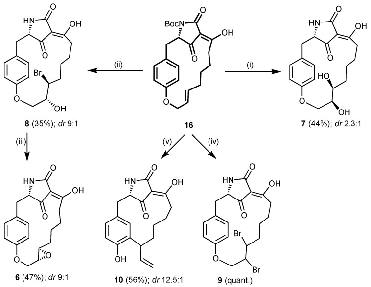 Scheme 2