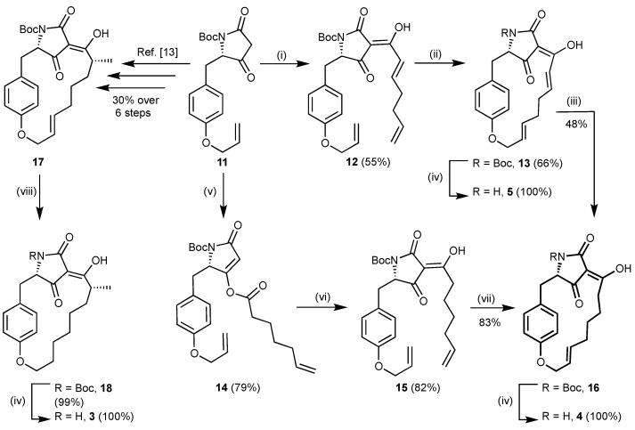 Scheme 1