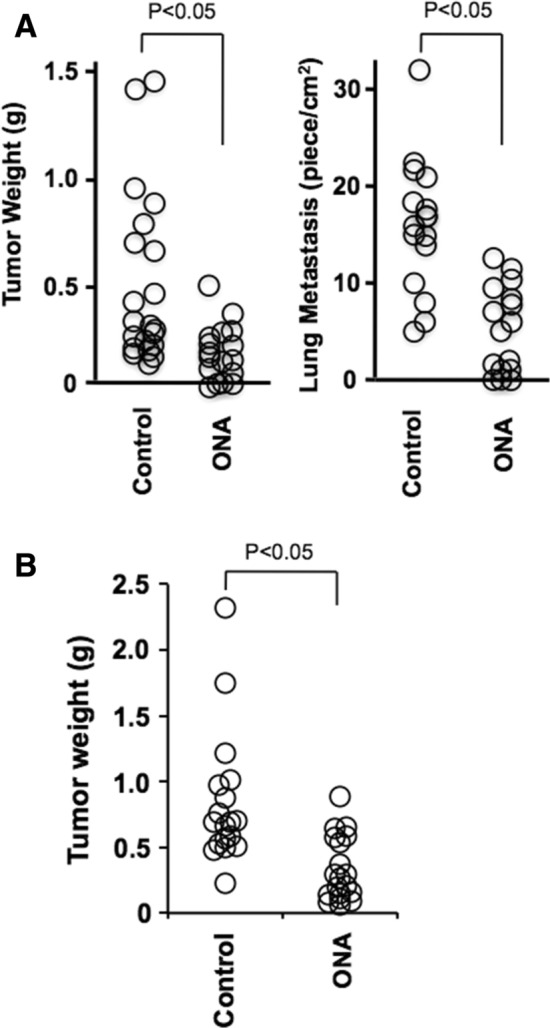 Fig. 12