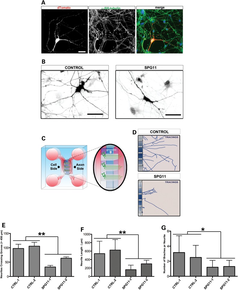 Figure 3.