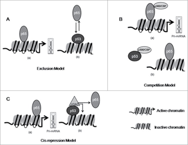 Figure 10.