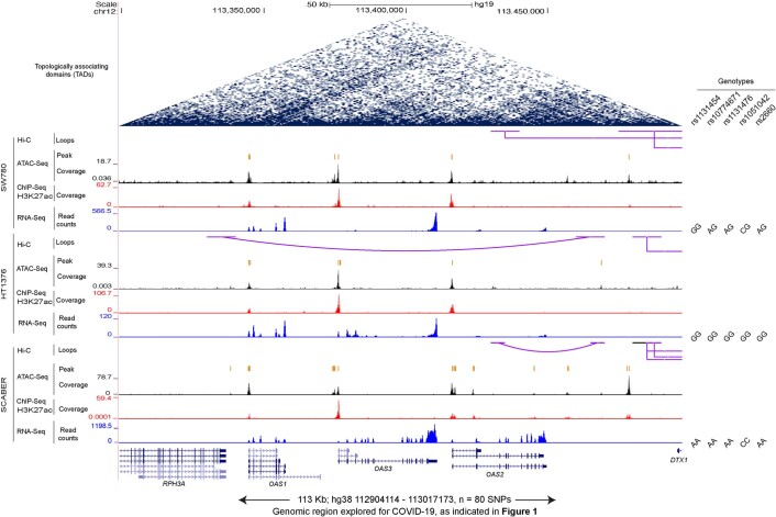 Extended Data Fig. 9