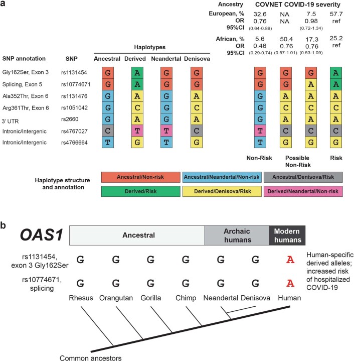 Extended Data Fig. 5