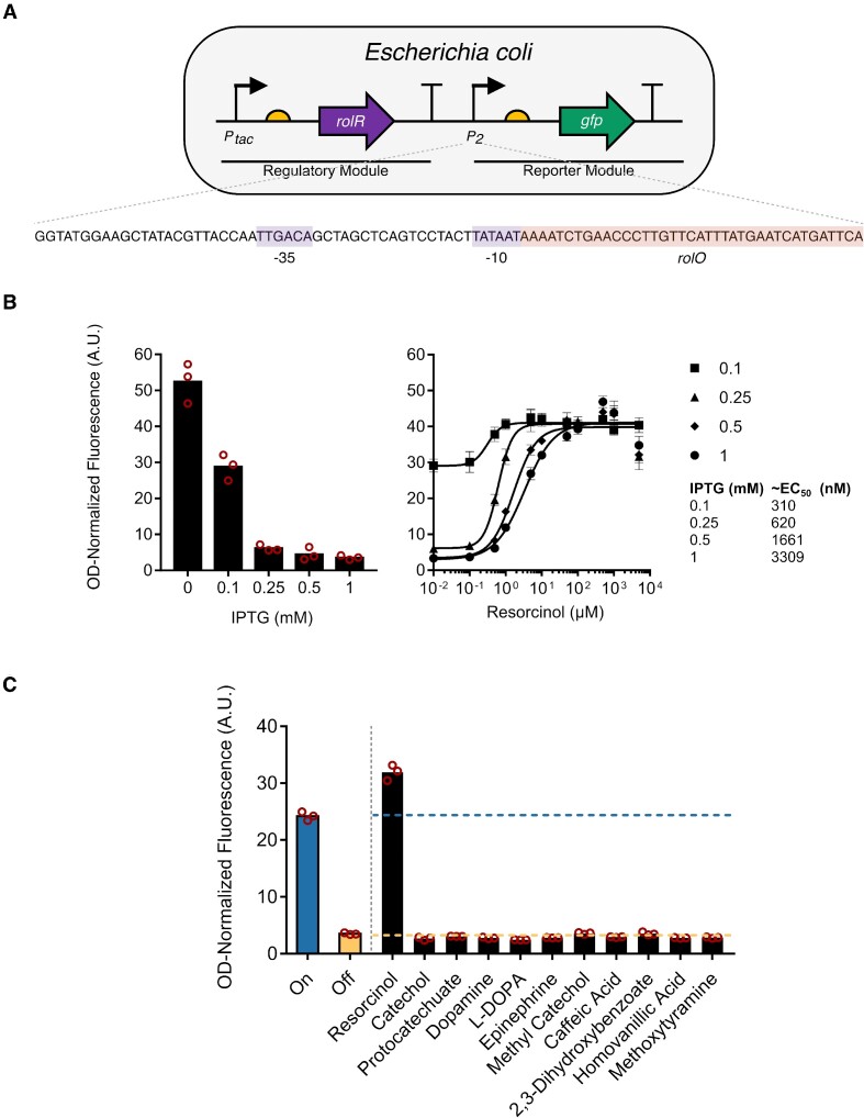 Figure 2.