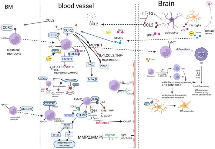 FIGURE 3