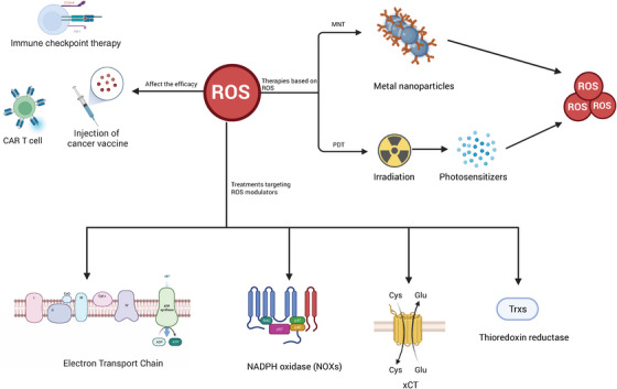 FIGURE 4