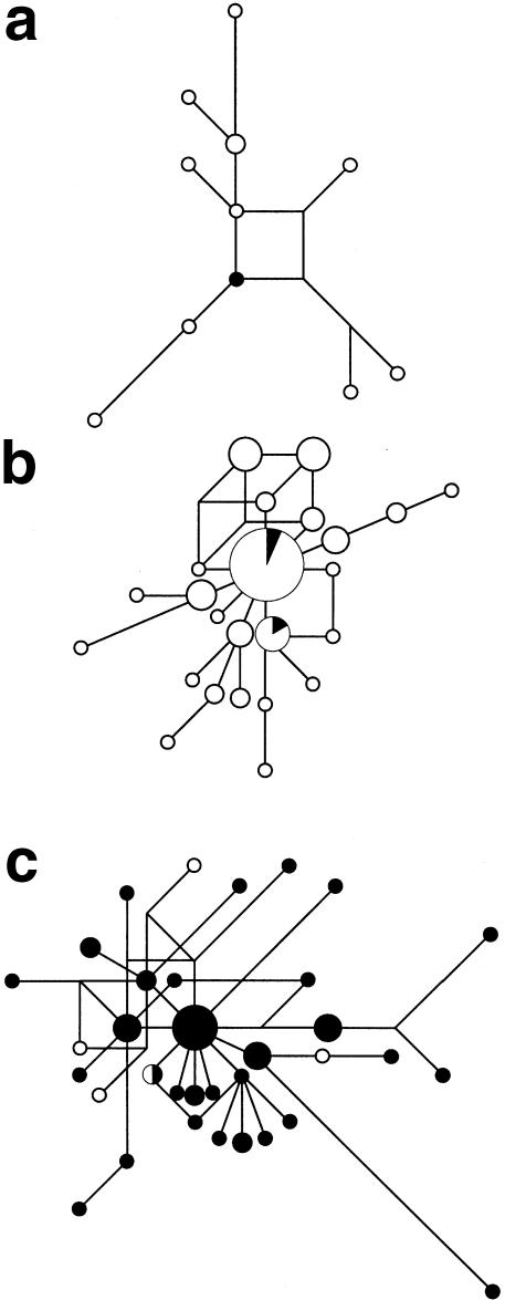 Figure  3