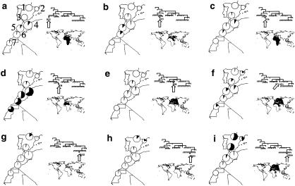 Figure  2