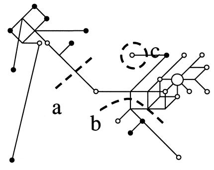 Figure  4