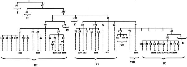 Figure  1