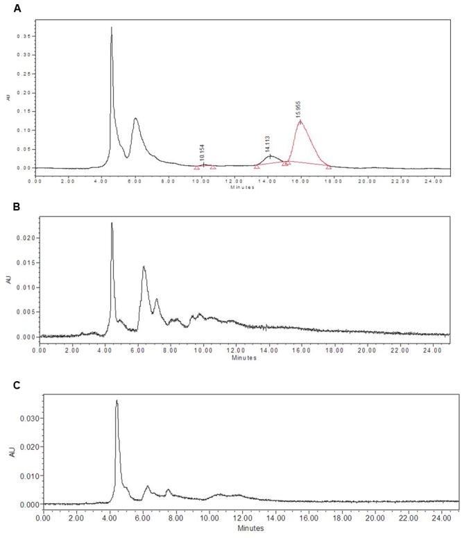 FIGURE 3