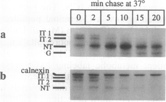 graphic file with name pnas01125-0090-a.jpg