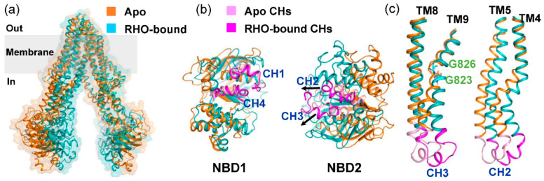 Figure 6