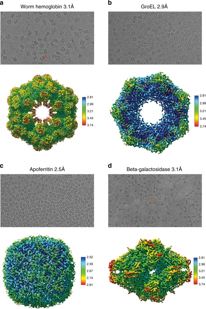 Fig. 4