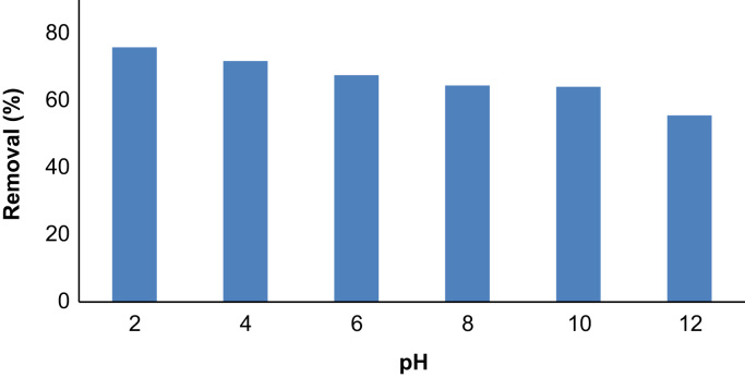 Fig. 5