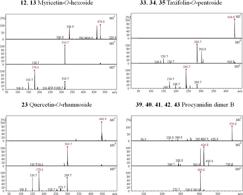 Fig. 3