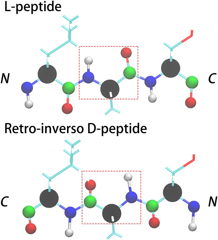 FIG. 2.