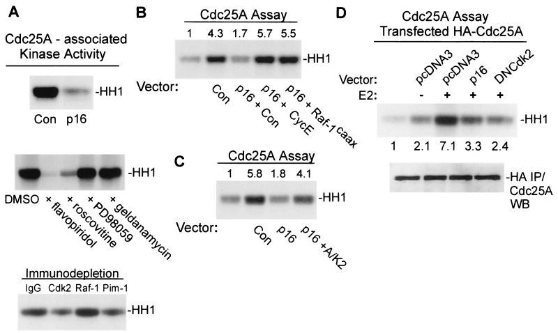 FIG. 8