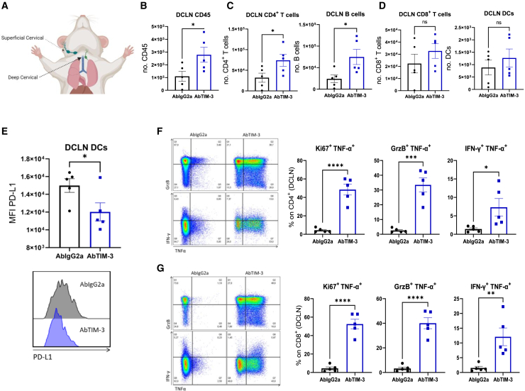 Figure 6