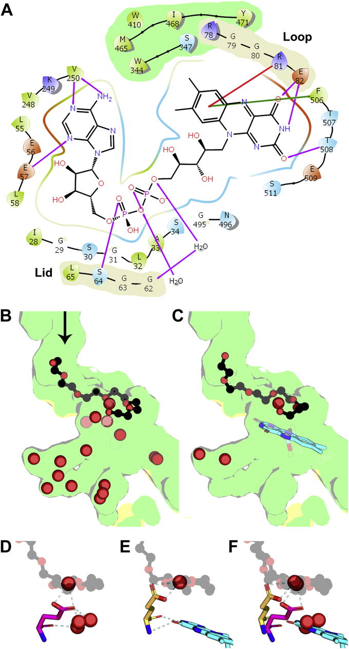 Figure 4