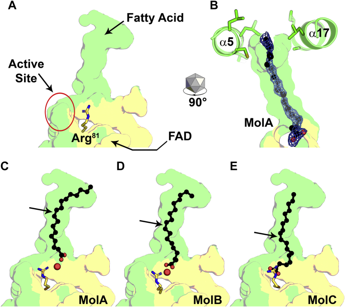 Figure 3