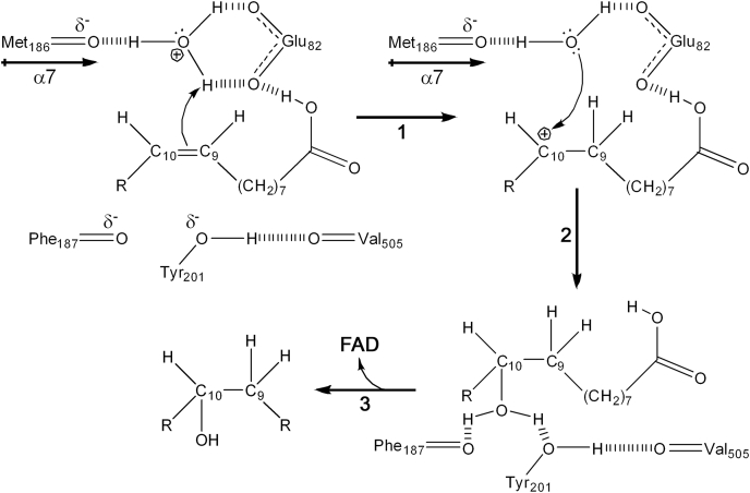 Figure 9