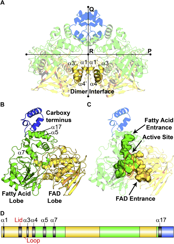 Figure 2