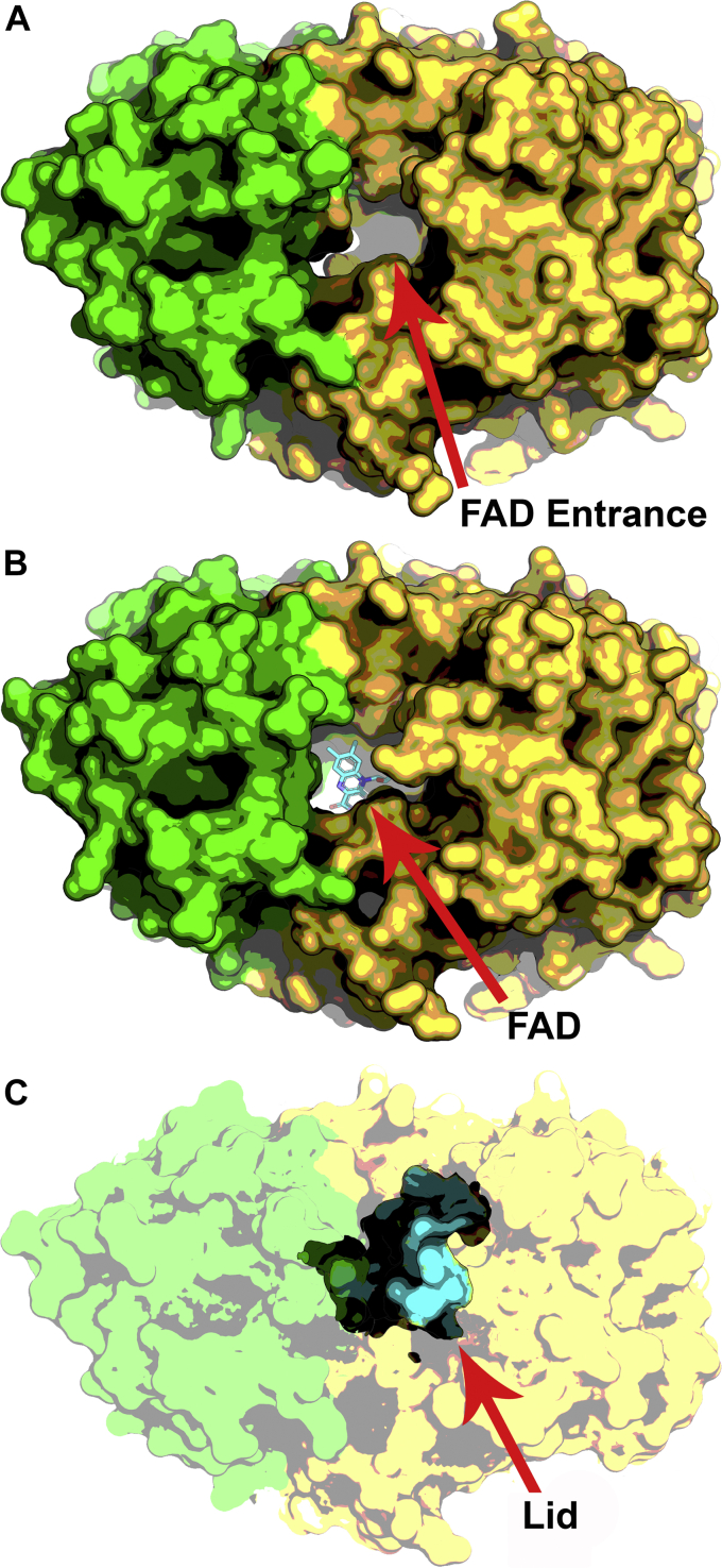 Figure 5