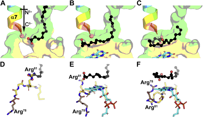 Figure 7