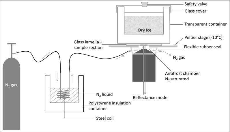 Fig. 6