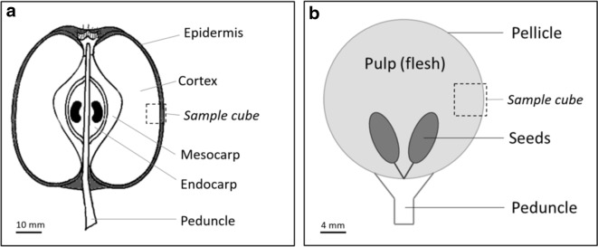 Fig. 5